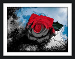 20" x 16" Titled: "The Rose" - Limited Edition Print