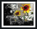 20" x 16" Titled: "The Color Yellow" - Limited Edition Print